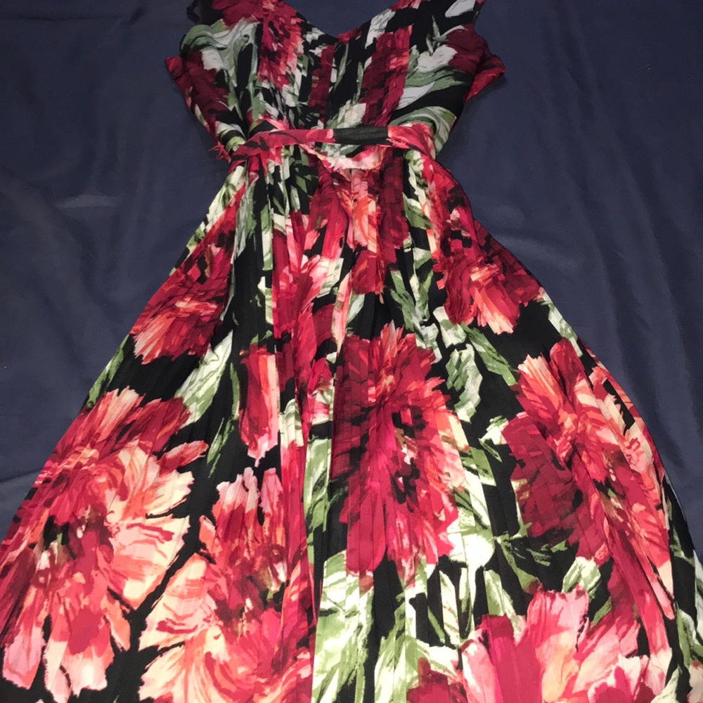 Sundress - Picture 3 of 4